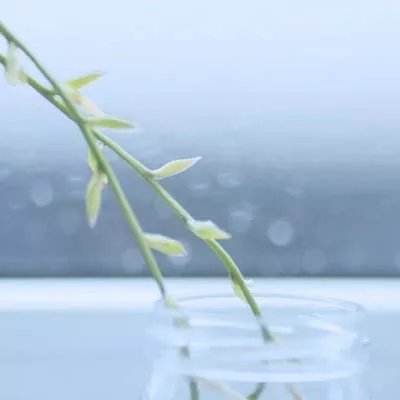 赢三张免费游戏app下载